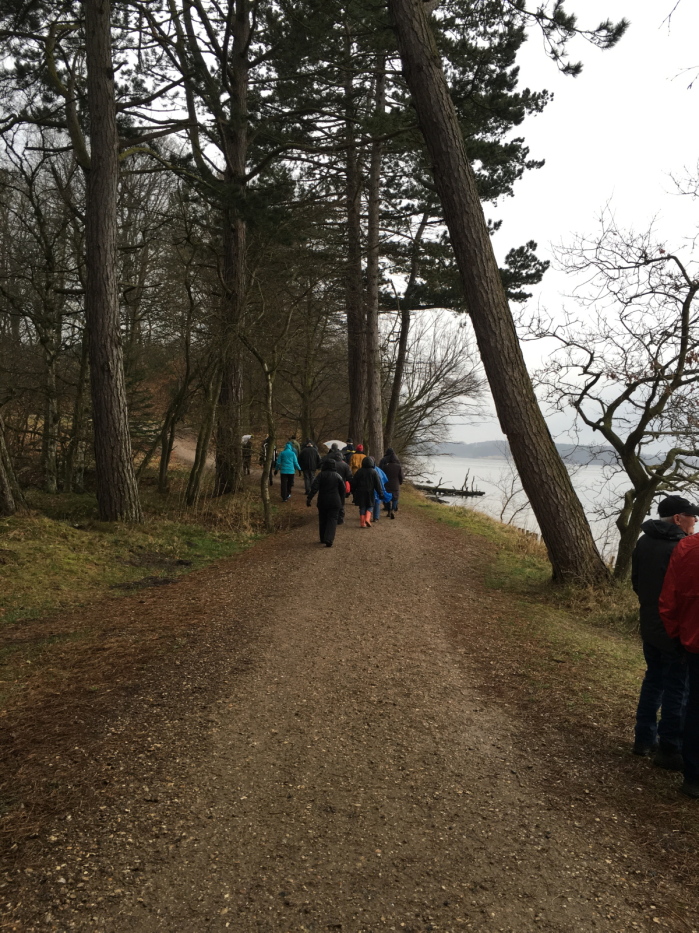 Lillebælt ved Naturcenter Hindsgavl