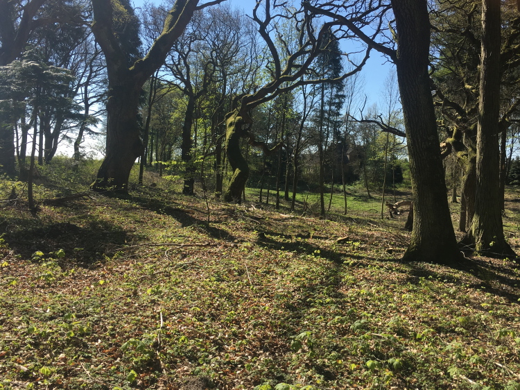 aa