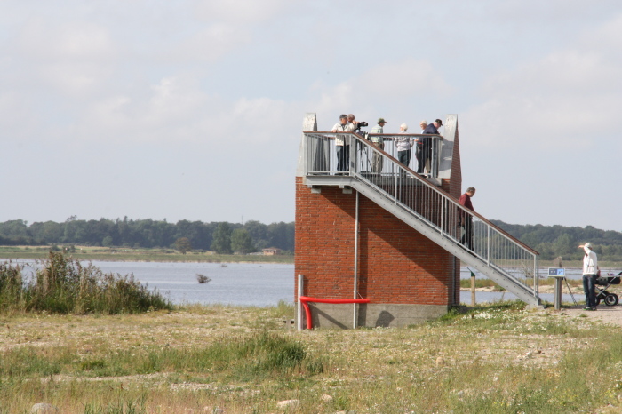 Udkig over Gyldensten Strand