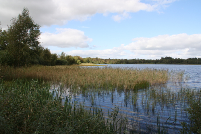 Søen1