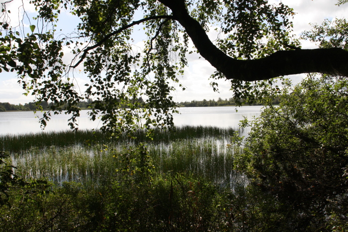 Søen